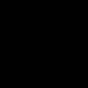 Meet your Posher, Zamora